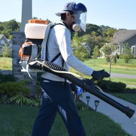 Image of mosquito control process