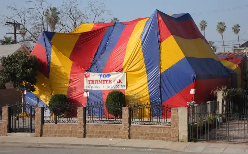 House covered with colorful treatment tent