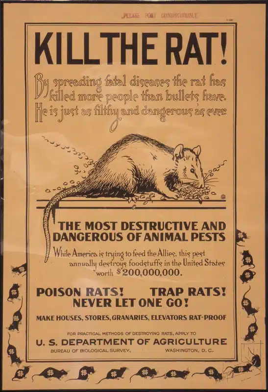 Vintage poster urging rat control
