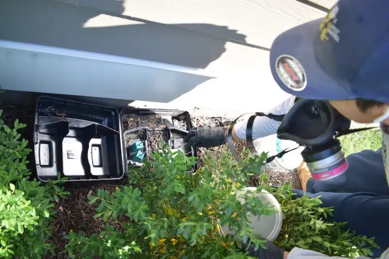 Pest control technician inspecting bait stations outdoors