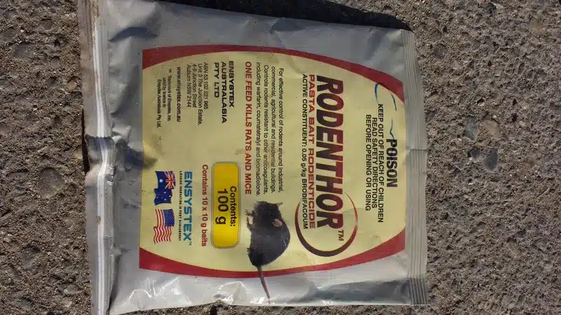 Rodenticide packaging on a surface