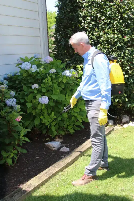 Technician with backpack sprayer treating landscaping near home