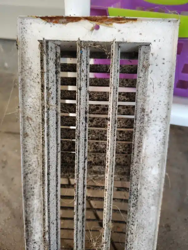 Dirty bathroom vent with mold buildup