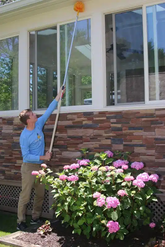 Professional pest control technician using long pole for bee management
