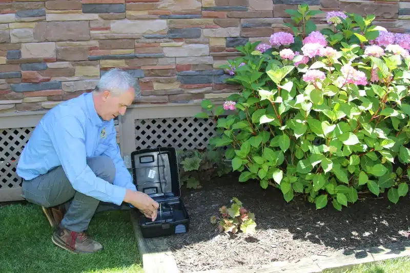 Technician examining a pest monitoring station next to a house