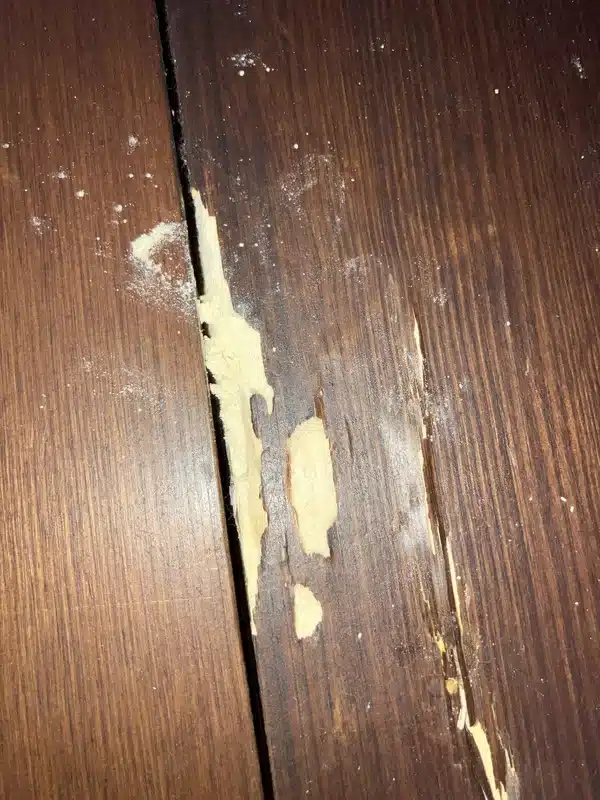 Wood flooring showing beetle damage with visible frass